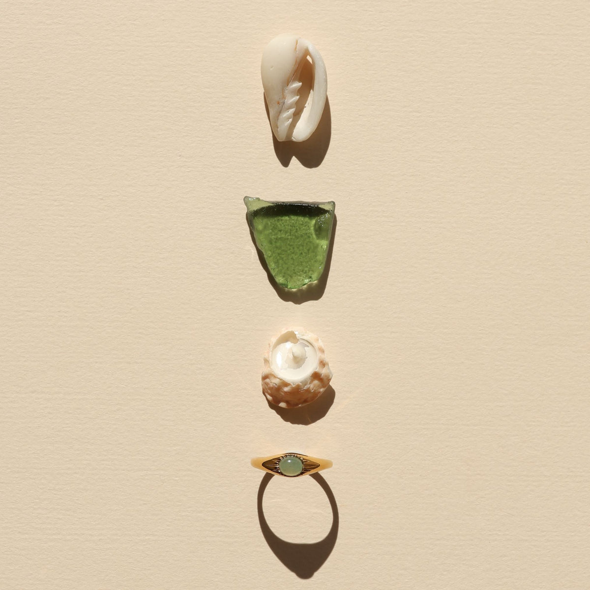 Anillo Oasis